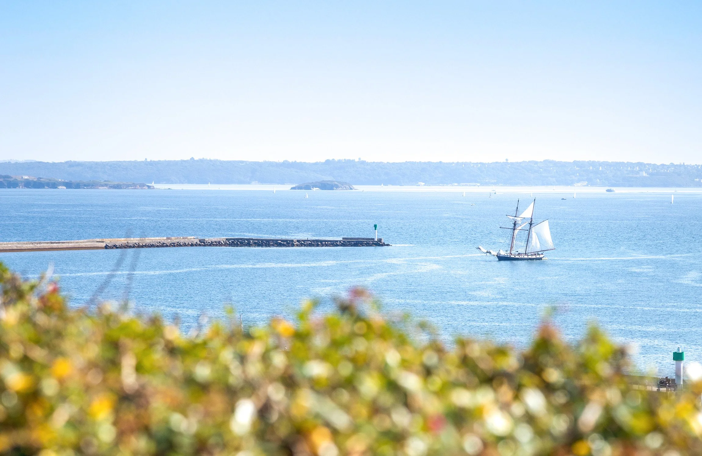 Romain-Osi-Brest--1.jpg