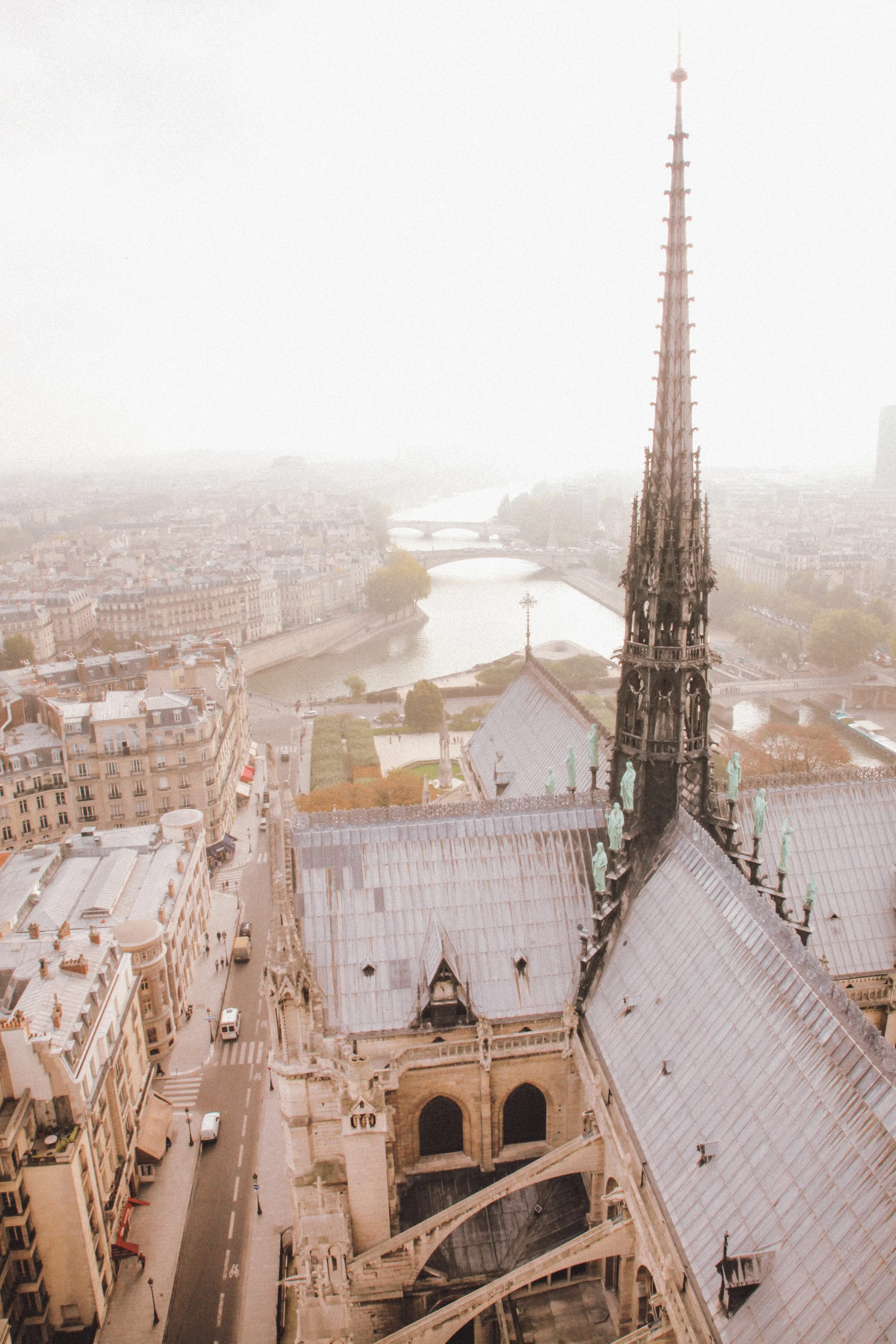 RomainOsi-Notre Dame.jpg