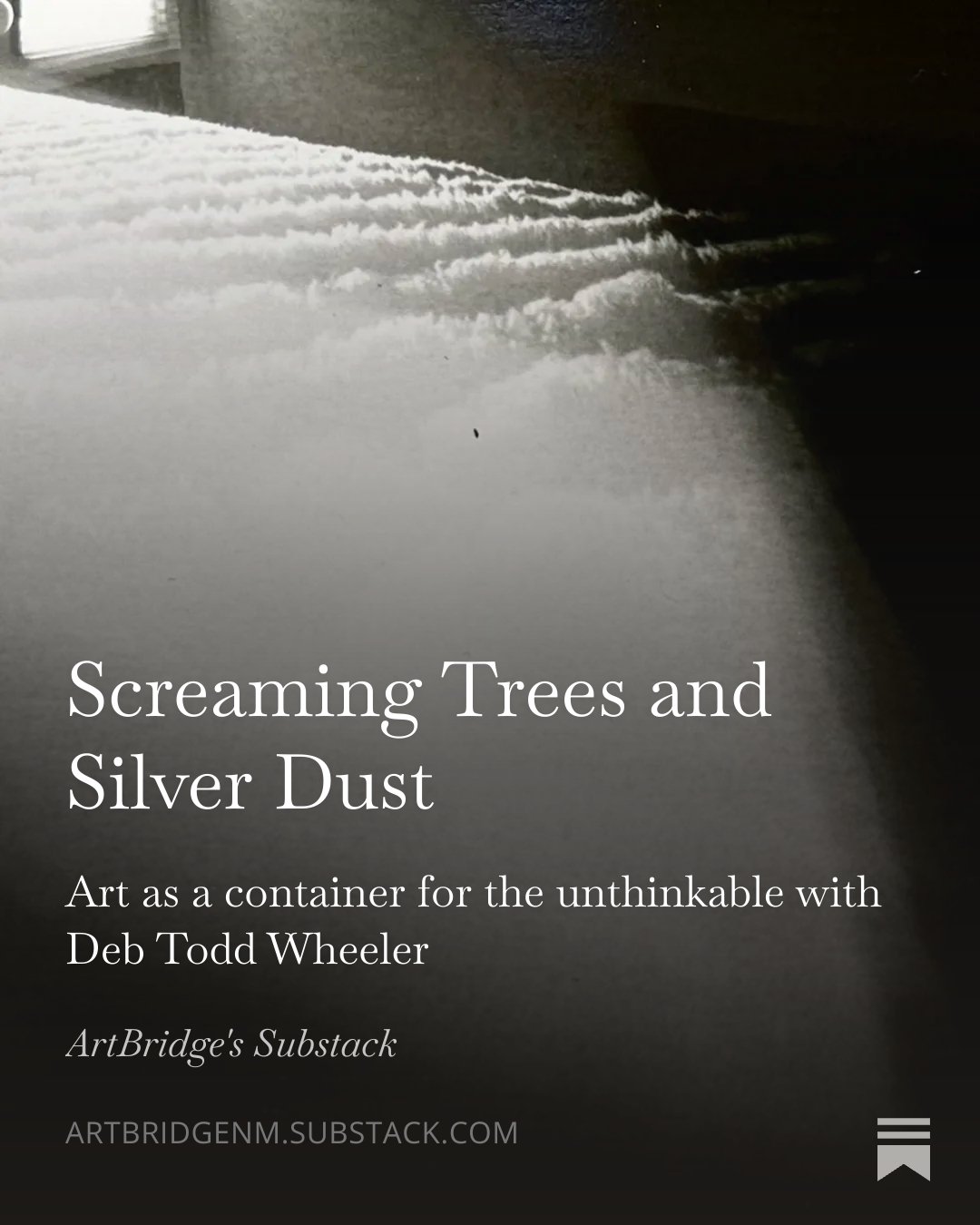 In our latest ArtStorming episode, we dive into the work of Deb Todd Wheeler (@dtwheel ). Deb&rsquo;s practice is a masterclass in "stewardship of the interruption." Through the projects @book_of_walks  and NO SLEEPING, her work explores ho