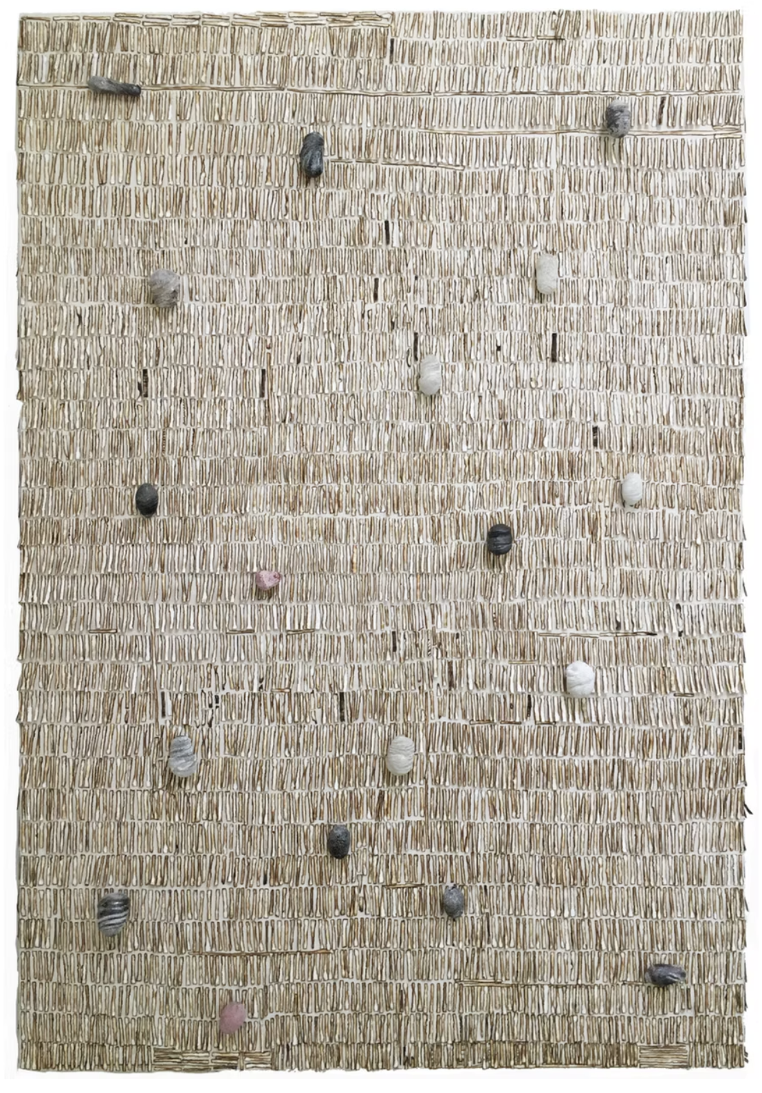 Screenshot 2026-04-10 at 12.04.46 PM.png