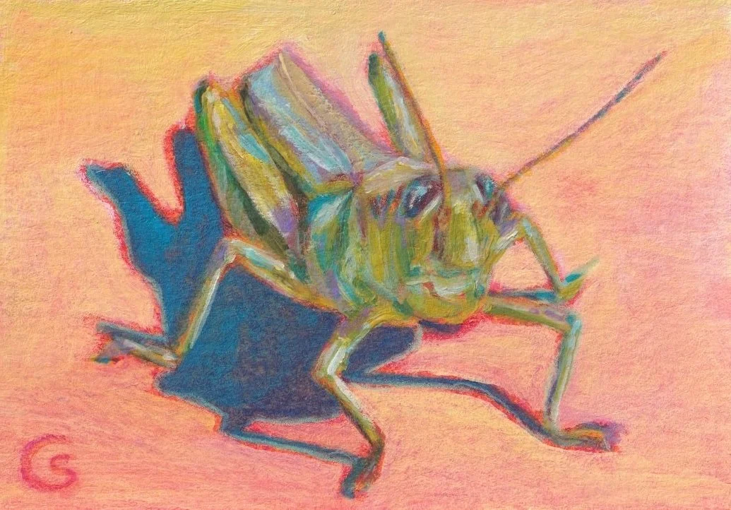 Colorful mixed media watercolor painting ACEO. Colorful pastels drawing of a grasshopper on a coral pink background.