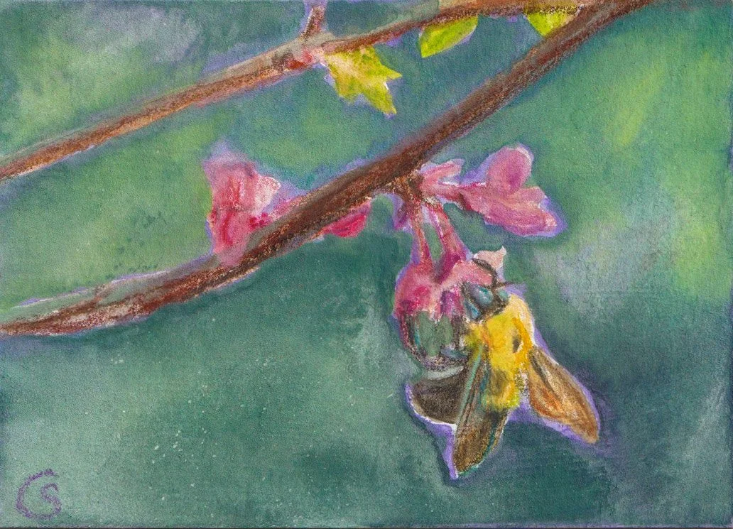 Watercolor painting of a bee collecting nectar from pink flowers on a green background.