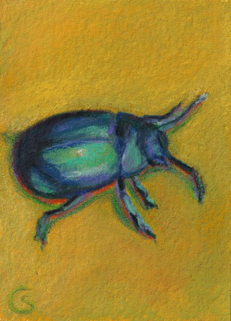 Colorful illustration of a beetle on a yellow background.