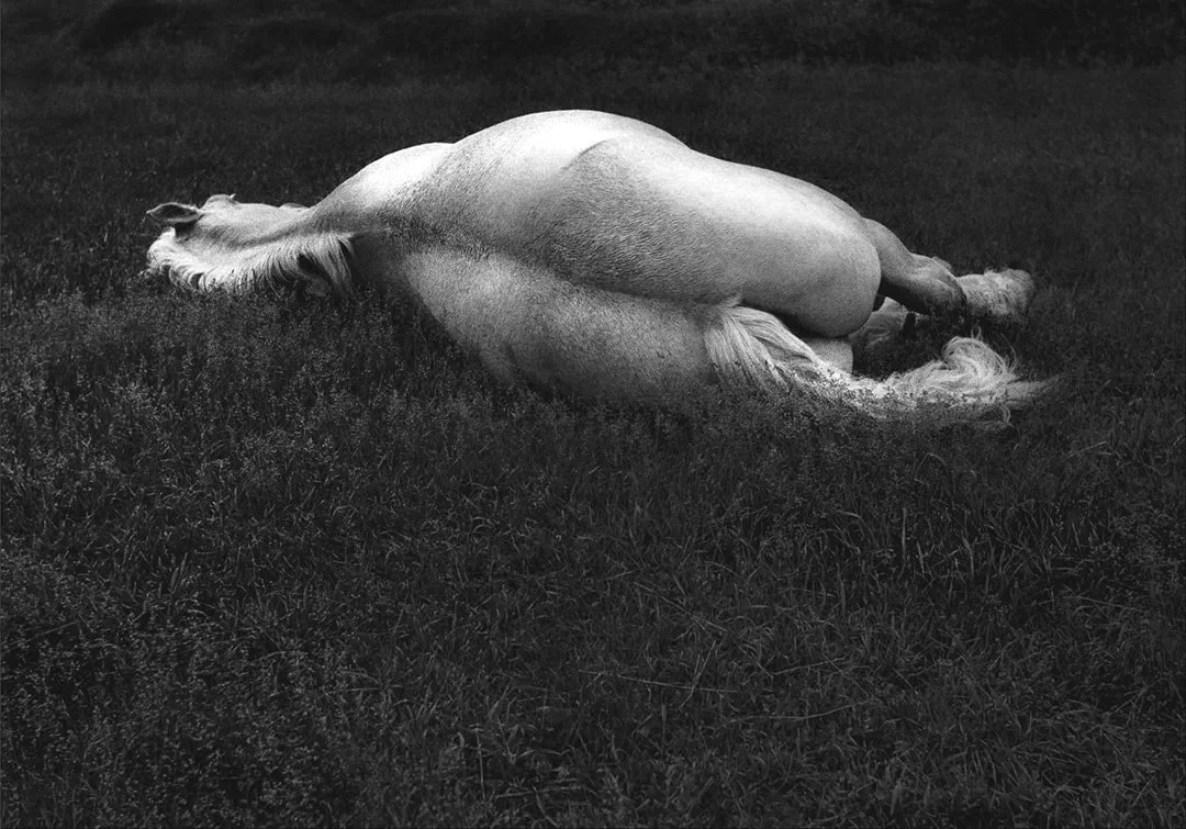 White Horse, Maine 1963