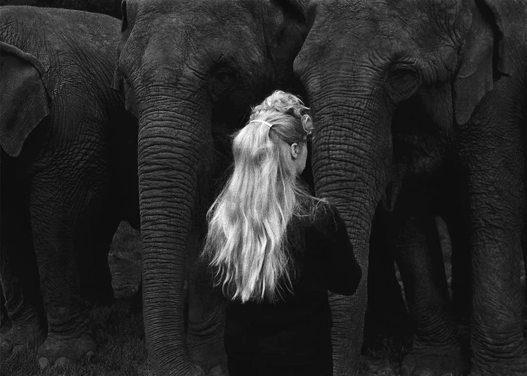 Elephant Girl, Philadelphia 1965