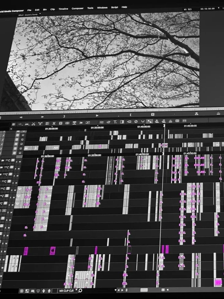 A computer screen shows a video editing timeline software with multiple tracks and clips, and a black and white photo of bare tree branches against the sky at the top of the screen.