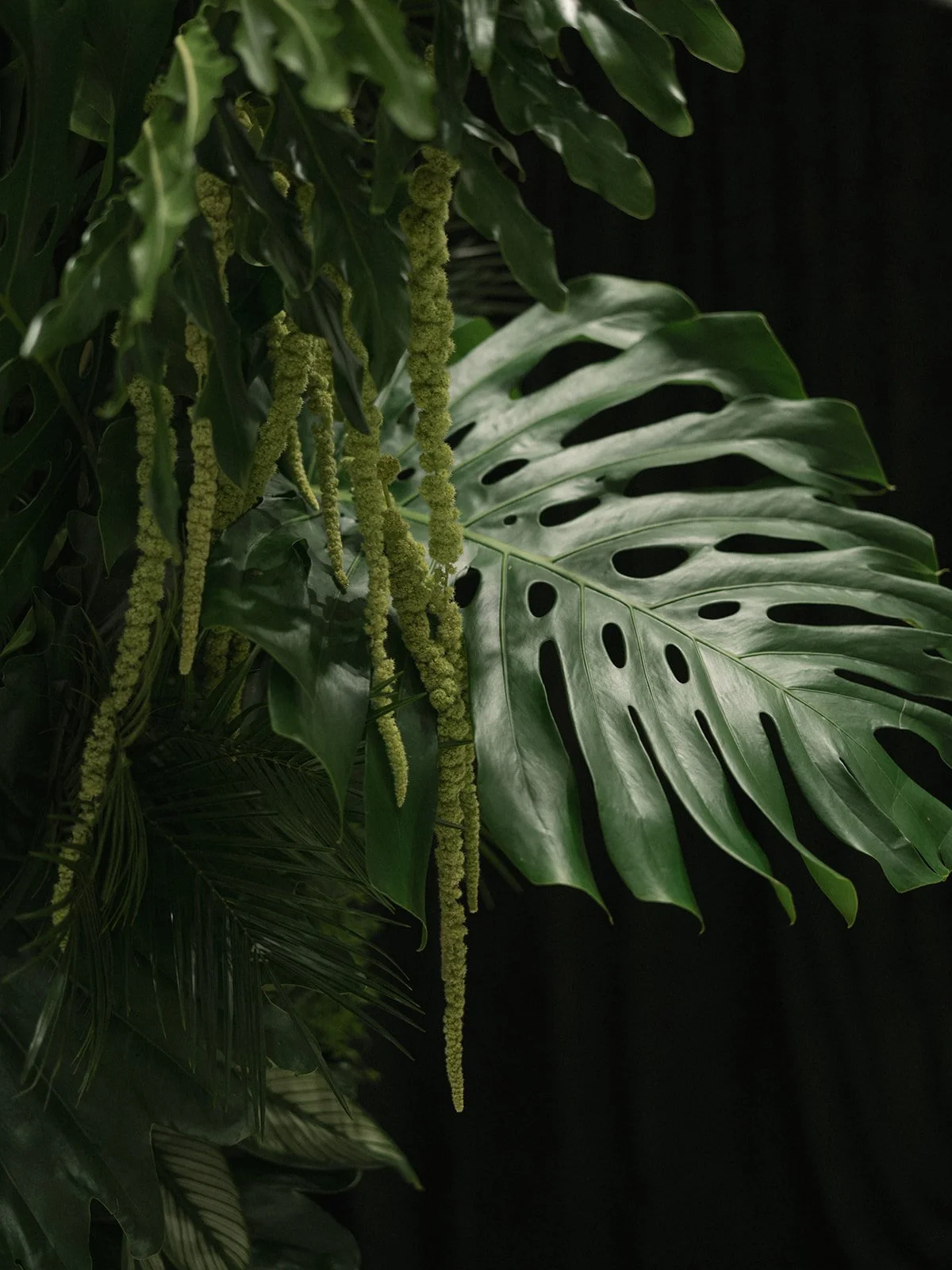 JA Wed x Nikki Daskalakis - 883.jpg