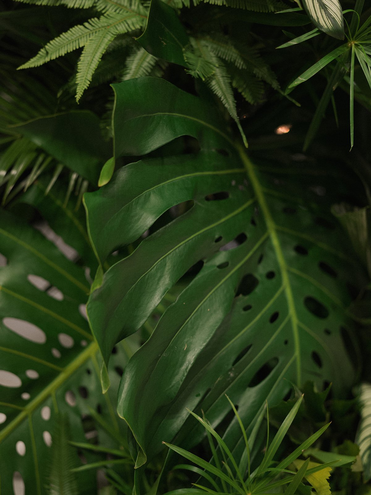 JA Wed x Nikki Daskalakis - 881.jpg