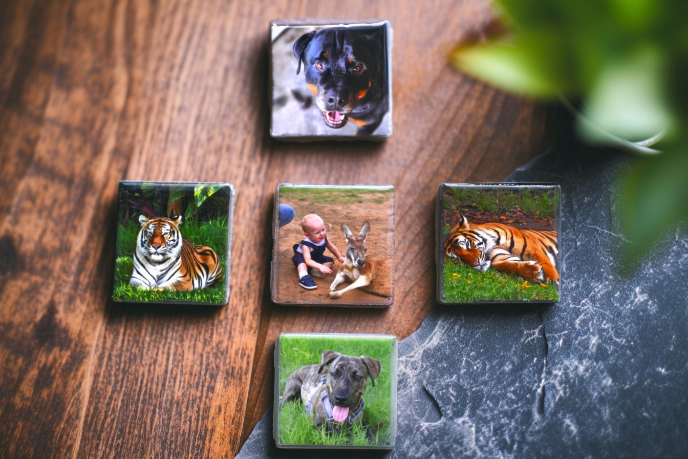 Bring your favourite animal and family photos to life with our vibrant, individually printed hard magnets. A unique collection to showcase love for pets and nature.