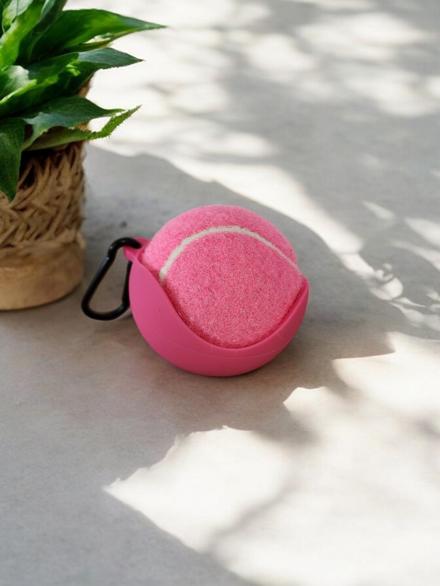 Tennis Ball with Carry Case