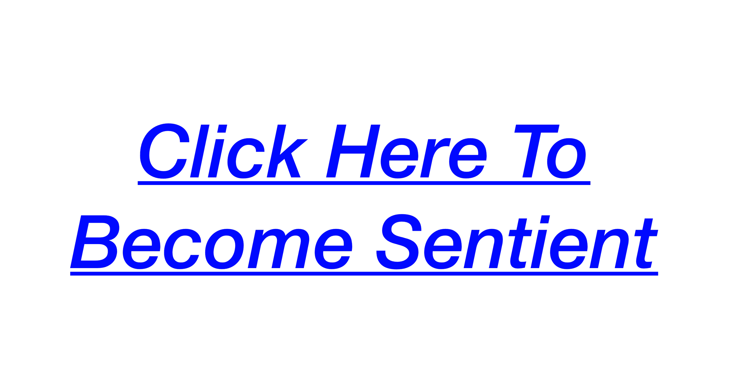 IMG_8428.png