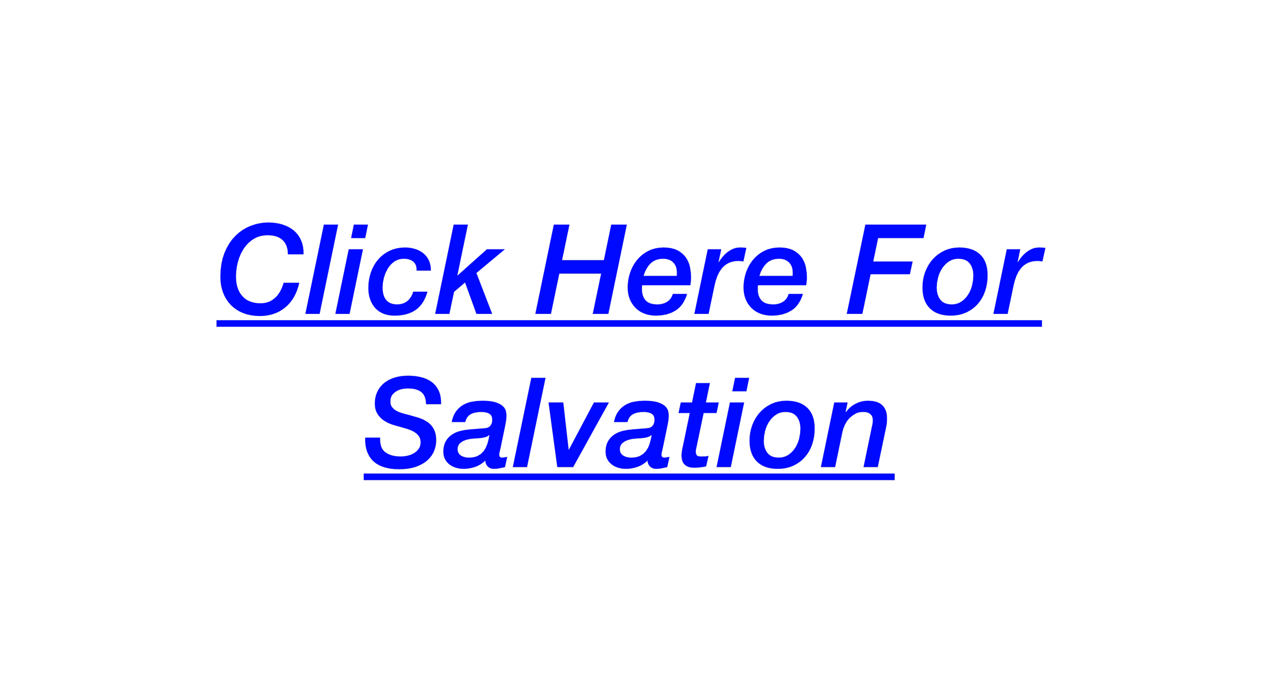 IMG_8432.png