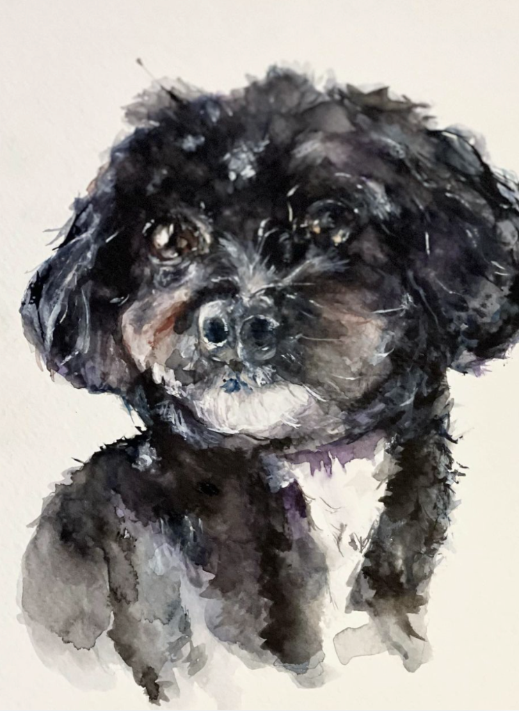 Watercolor painting of a black and white dog