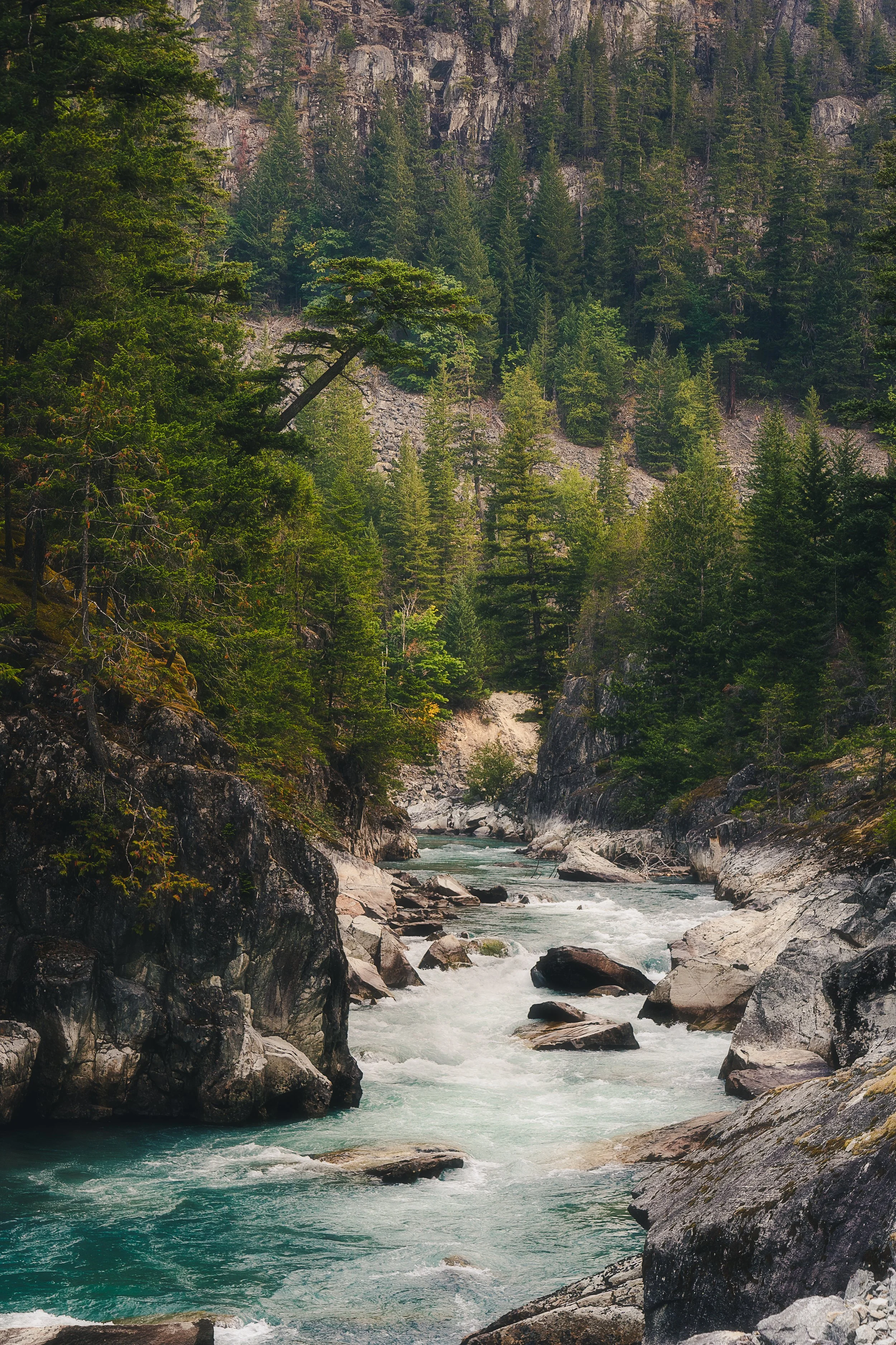 Landscape photography, Nature photographer, Fine art landscape prints, Scenic, Wilderness, wildlife, long exposure, astrophotography, long exposure