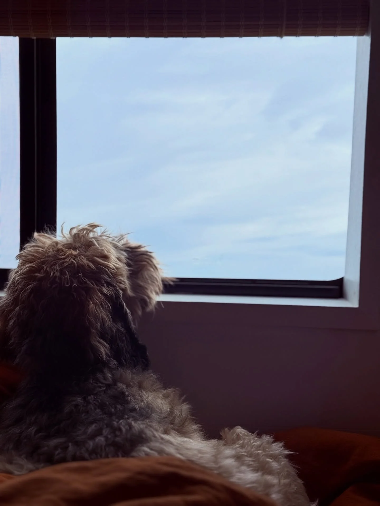Hey everyone! Socials will be a little quiet this week (I know it&rsquo;s gonna be tough) as I&rsquo;m away with the fam in beautiful Devon. This is the view from bed this morning. Our faithful pup, looking out to sea! Feeling really rested and grate