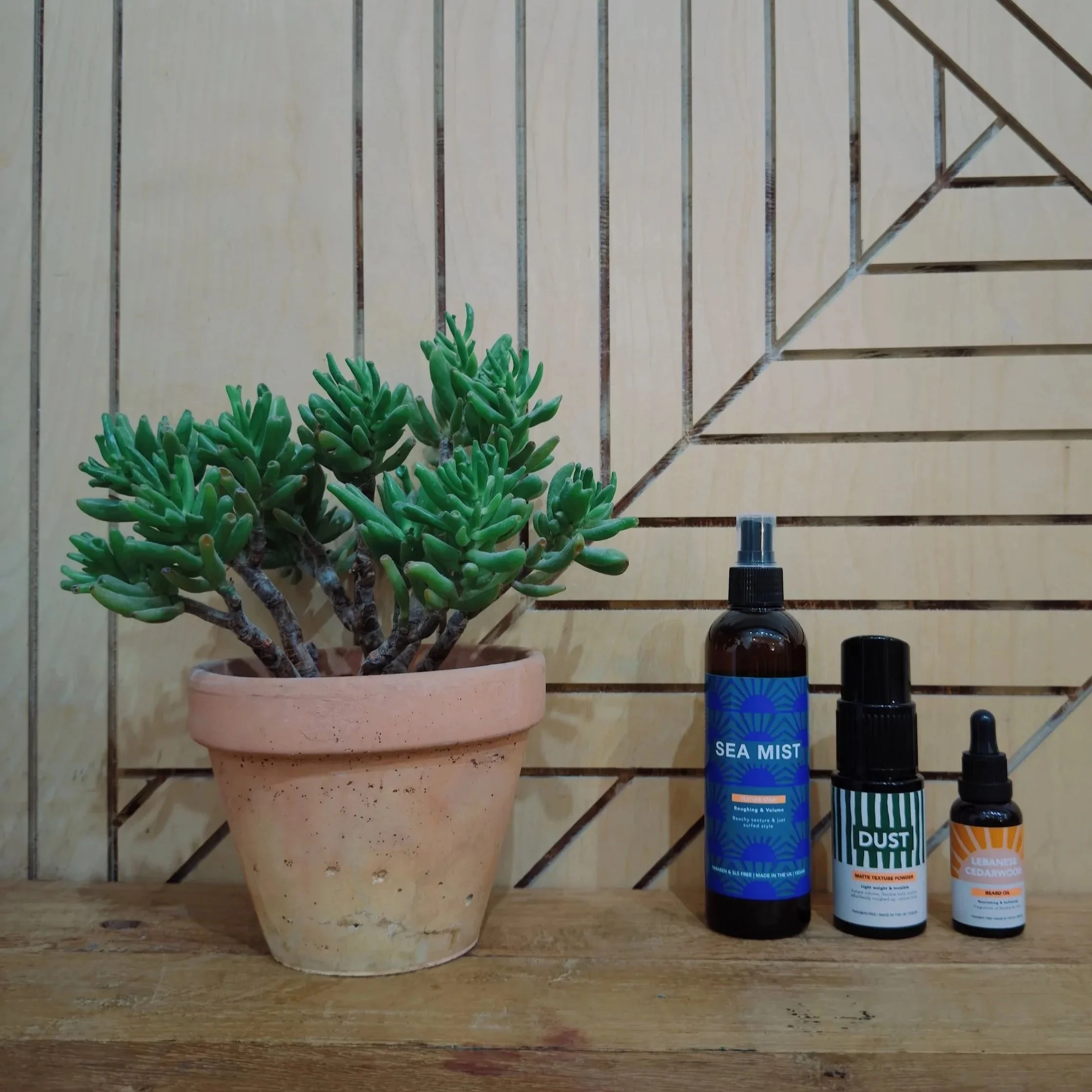 800BB1EA-B3BE-47CB-B5B8-F9130DCDCD27.jpg (Copy)