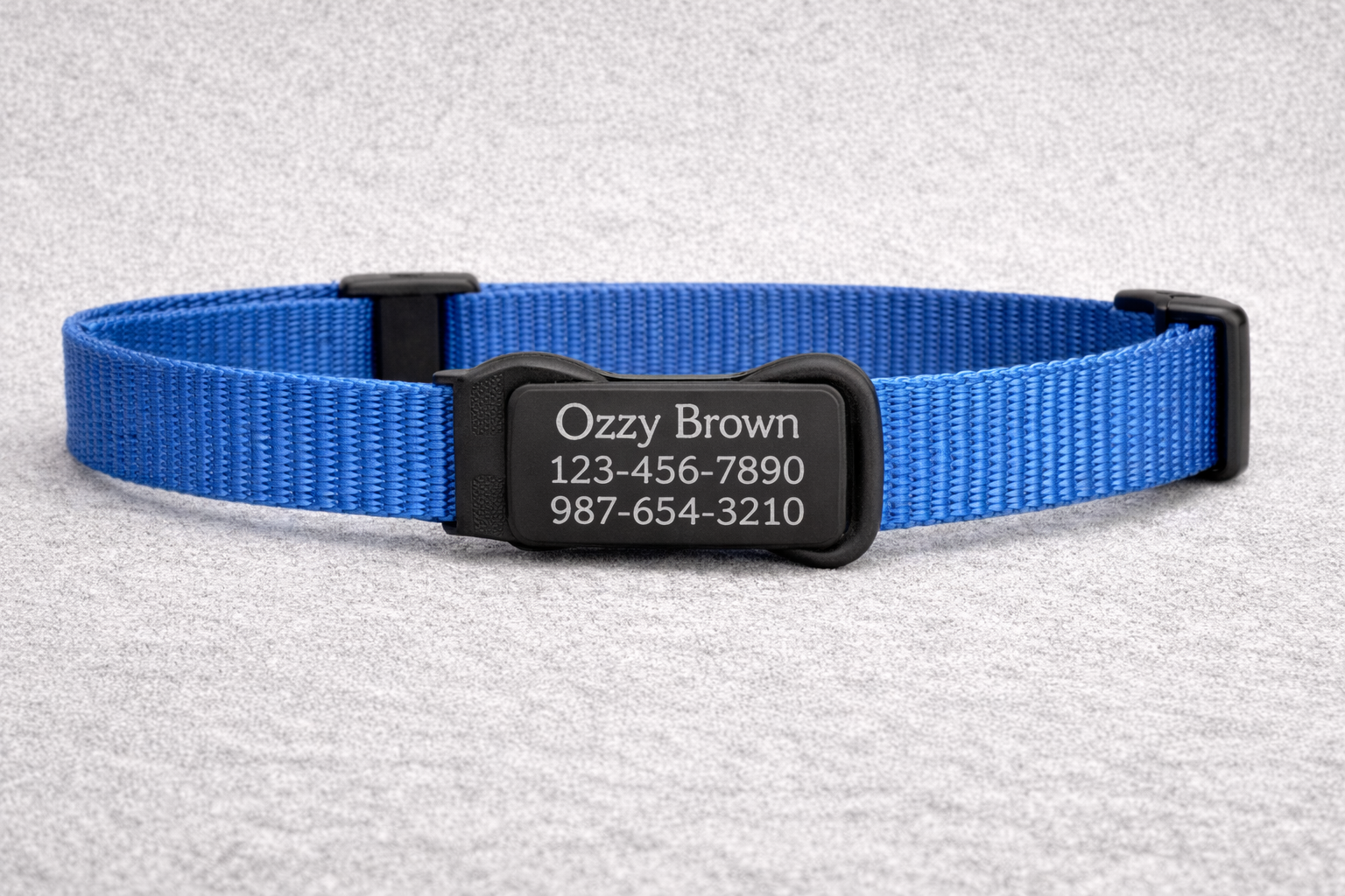 ChatGPT Image Feb 13, 2026, 03_04_33 PM.png