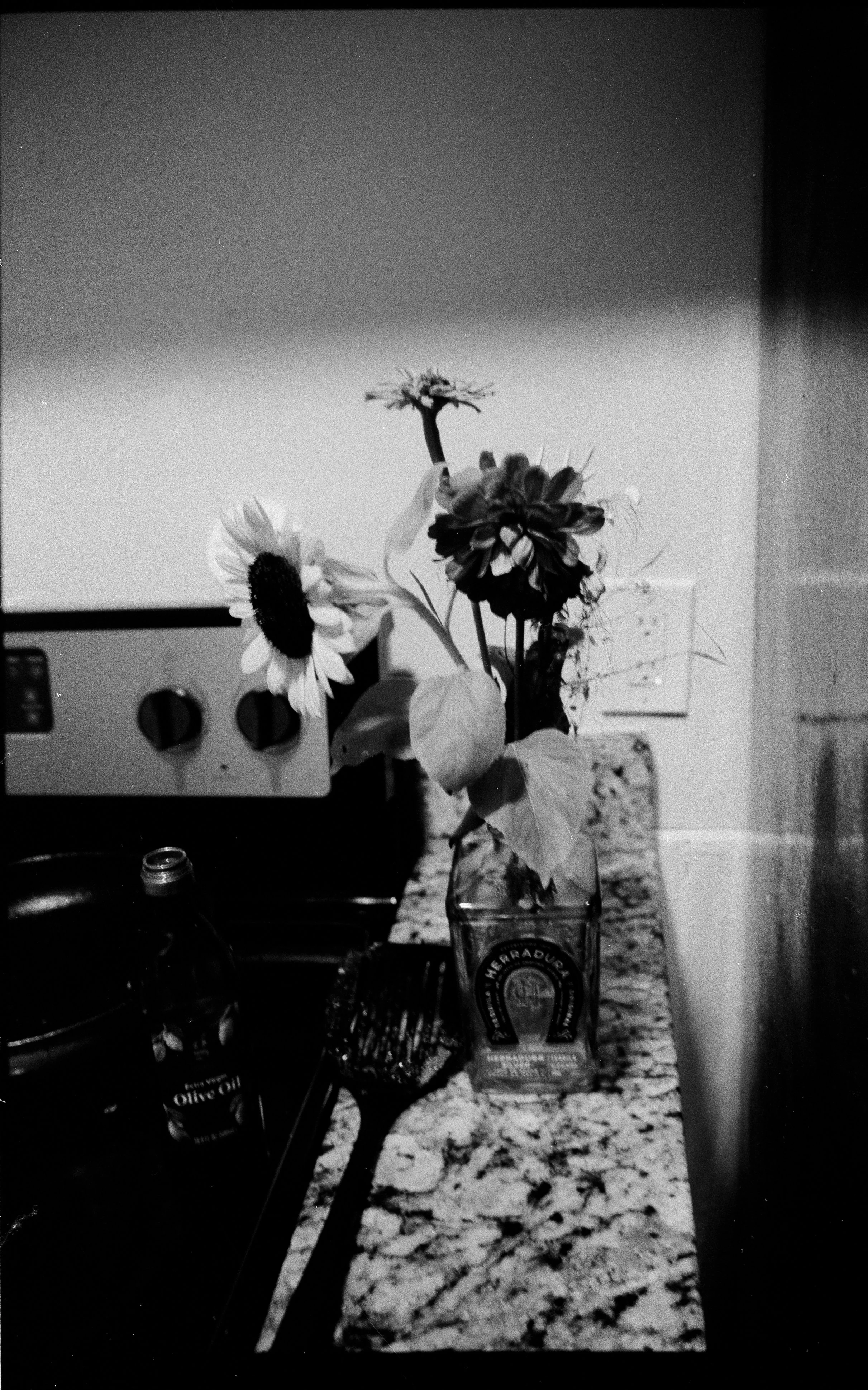 -FR10º AB BTS-20.jpg