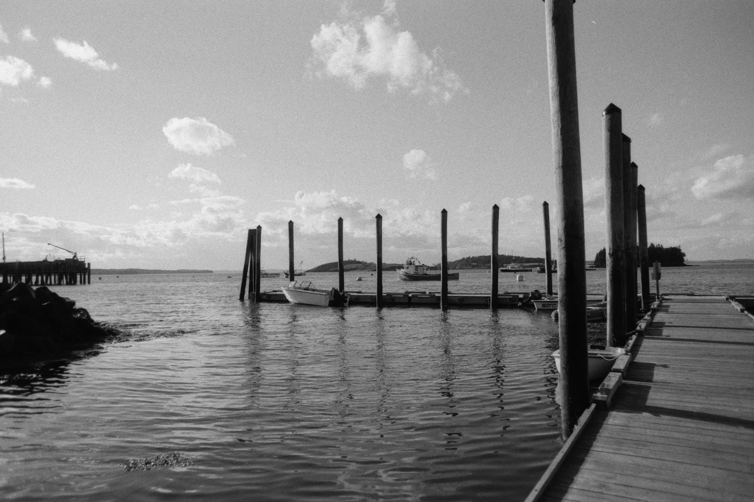 savannahfilmlab-72.jpg