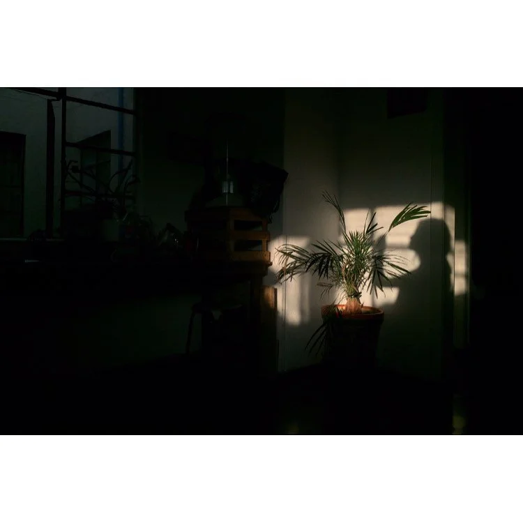 .
.
.
.
.
.
.
.
.
.
.
.
#filmphotomag #photofilmy #framez #cinebible #SPiCollective #takemagazine #reframedmag #phornography #sreetphotographersmagazine #cinematographer #vsco #thinkverylittle #photocinematica #photobserve #nowherediary #ig_onstandby