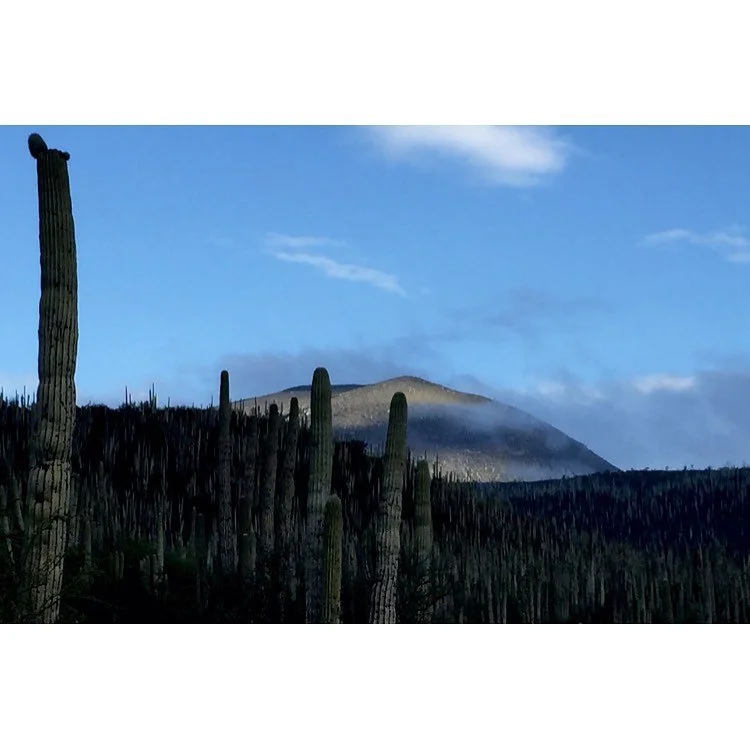 .
.
.
.
.
.
.
.
.
.
.
.
#filmphotomag #photofilmy #framez #cinebible #SPiCollective #takemagazine #reframedmag #phornography #sreetphotographersmagazine #cinematographer #vsco #thinkverylittle #photocinematica #photobserve #nowherediary #ig_onstandby