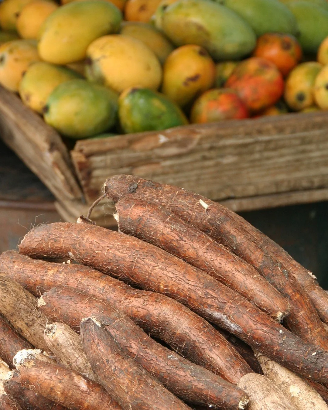 Everyday abundance.

#TaraHouseBarbados #BarbadosLuxury #LuxuryTravel #PrivateVilla #LuxuryEscape #ExclusiveGetaway #SurfingBarbados #SunsetSurf #CaribbeanAdventures #IslandVibes #OceanVibes #Wanderlust #TravelGoals #DreamVacation