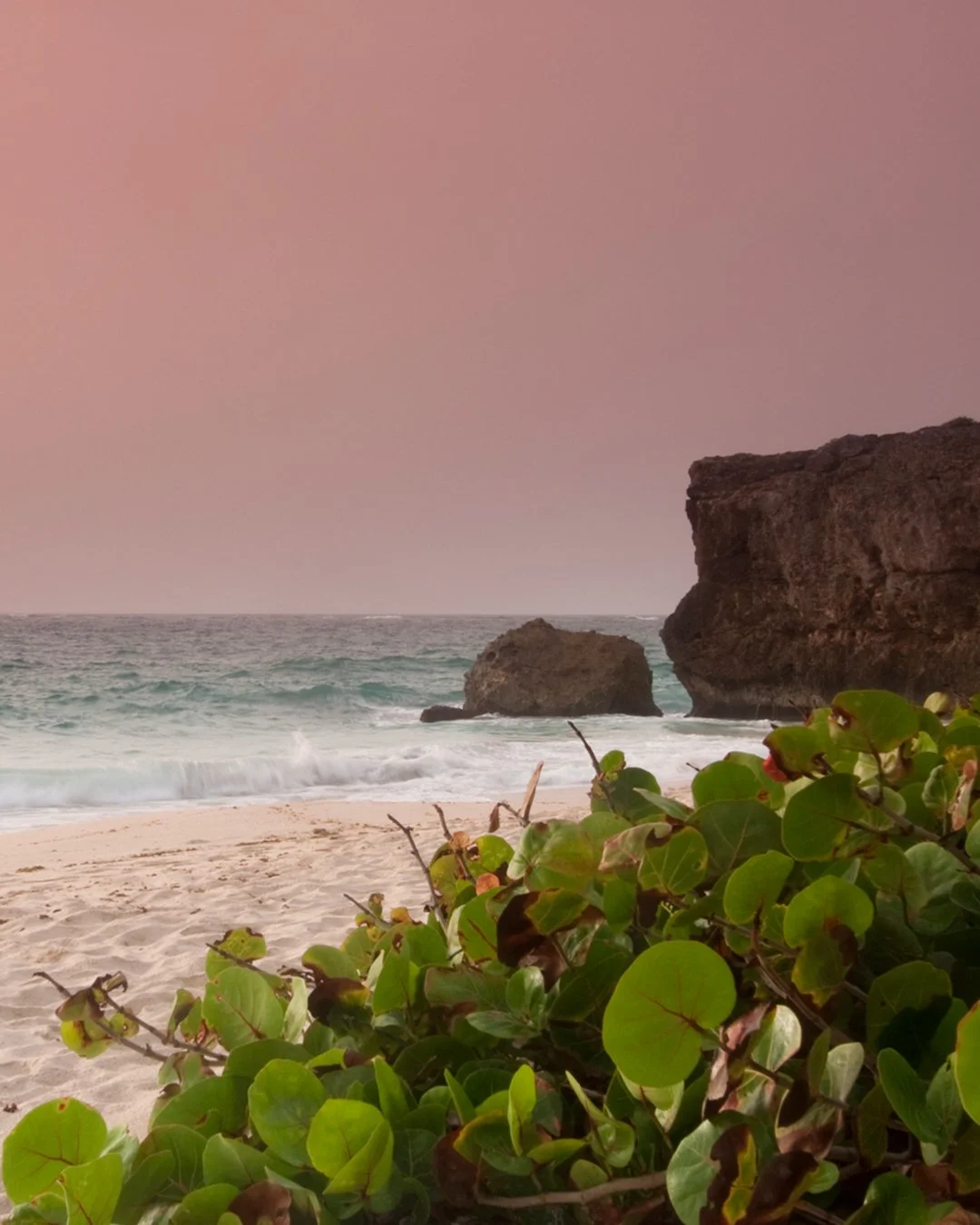 Soft edges, Atlantic light.

#TaraHouseBarbados
#Barbados
#LuxuryVilla
#LuxuryTravel
#BarbadosVilla
#PrivateVilla
#CaribbeanLuxury
#VisitBarbados
#BarbadosVacation
#BarbadosTravel
#BarbadosLife
#BarbadosHoliday