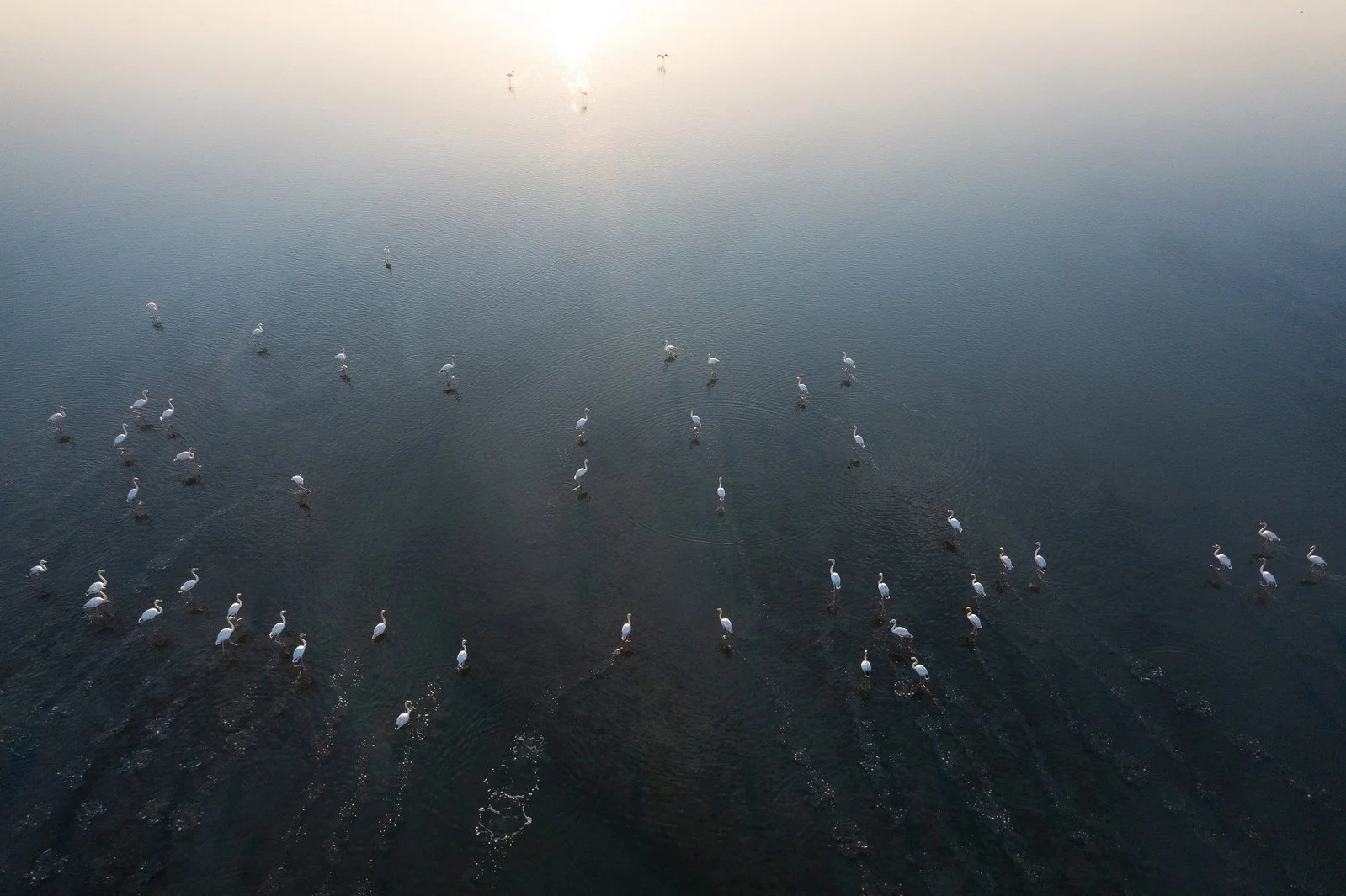 DJI_0244+copy.jpg