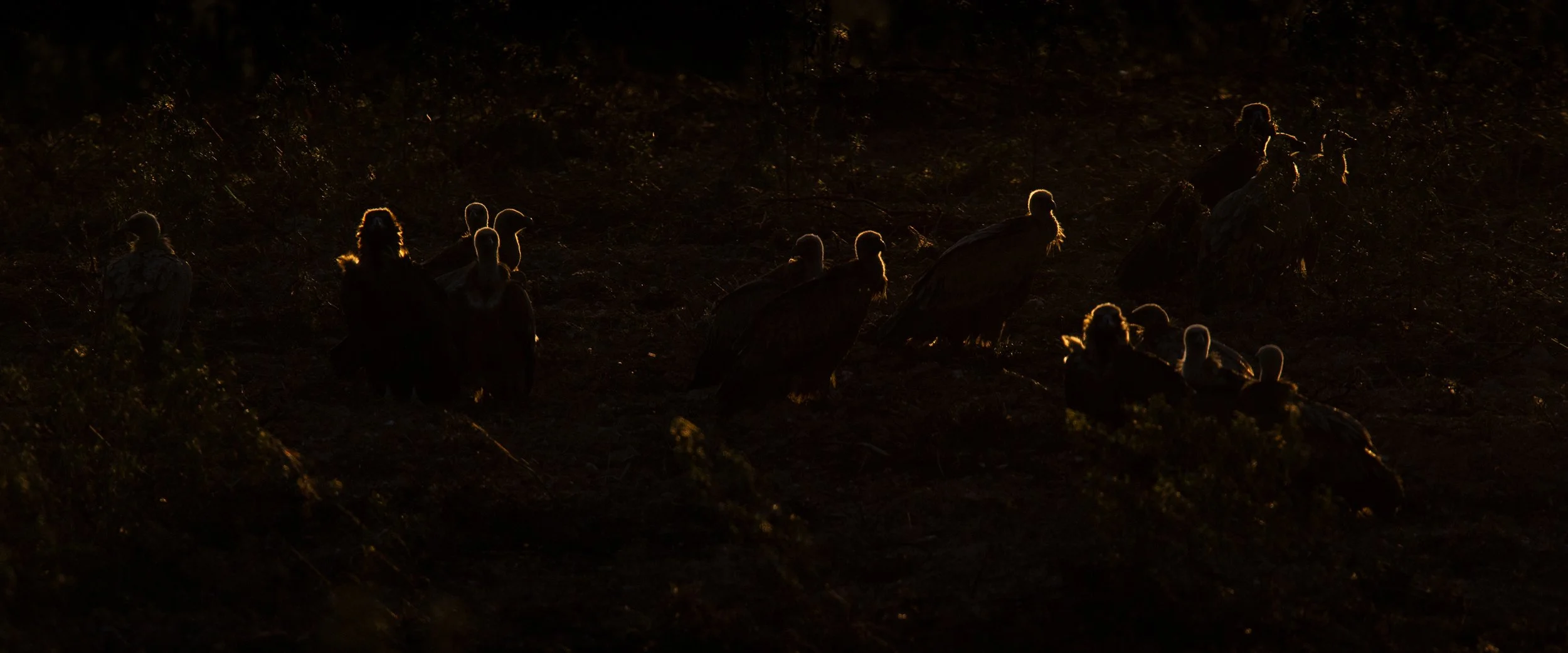 _H6C7178 2560px 2,4-1.jpg