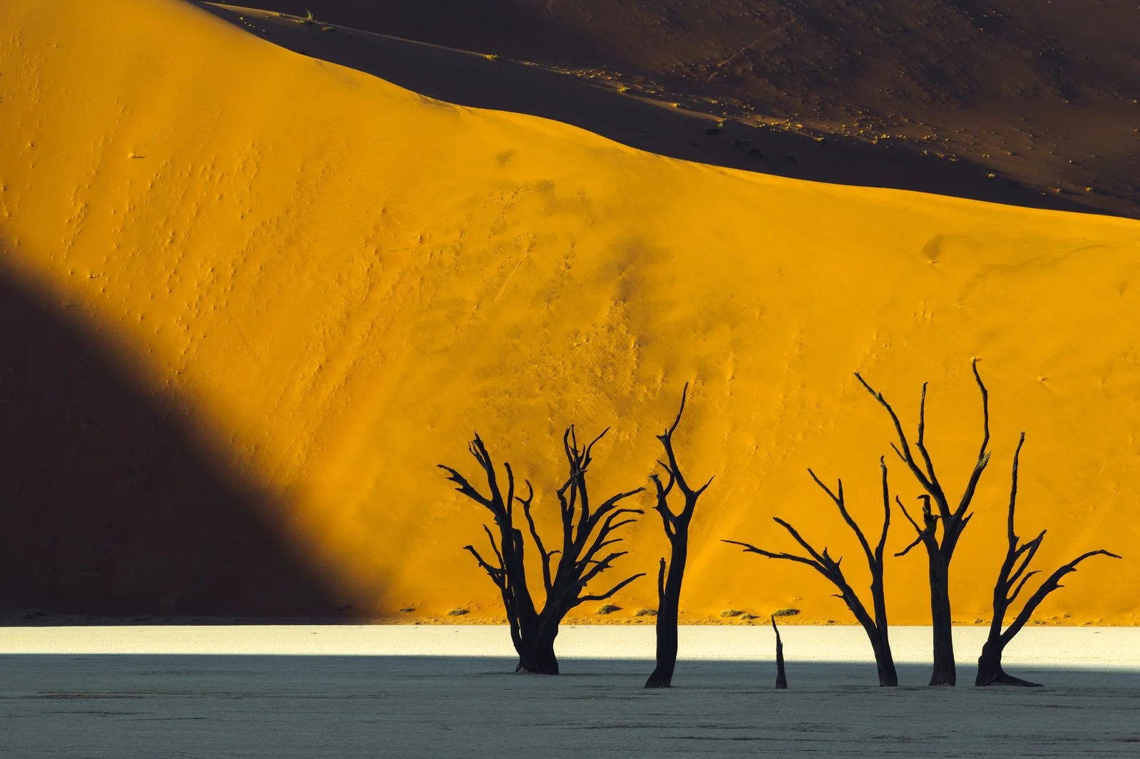 _H6C7985+2560px.jpg