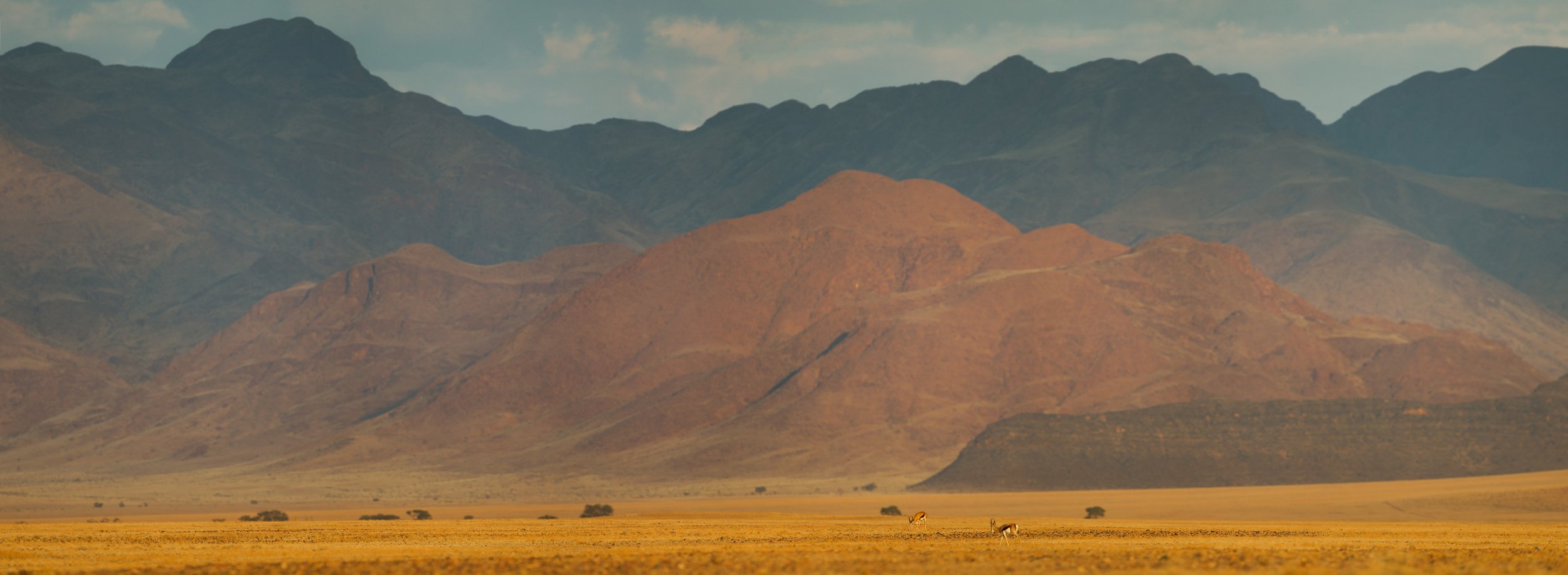 sossusvlei pan copy 2560px.jpg