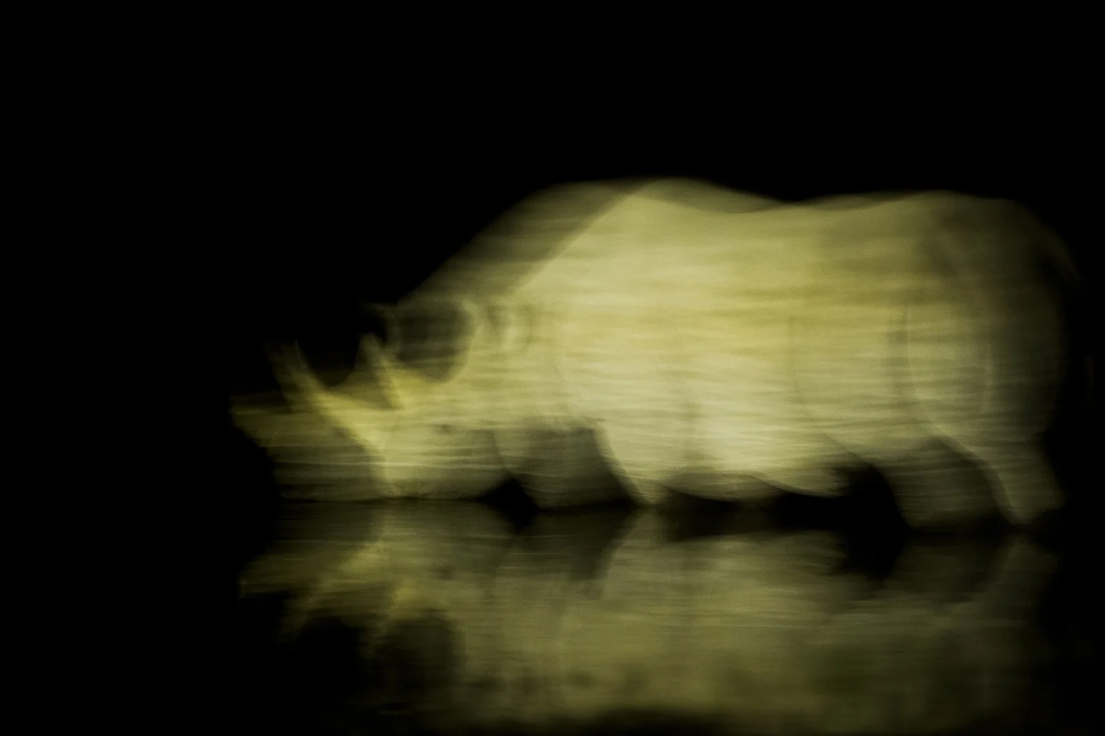 _H6C4716+2560px.jpg