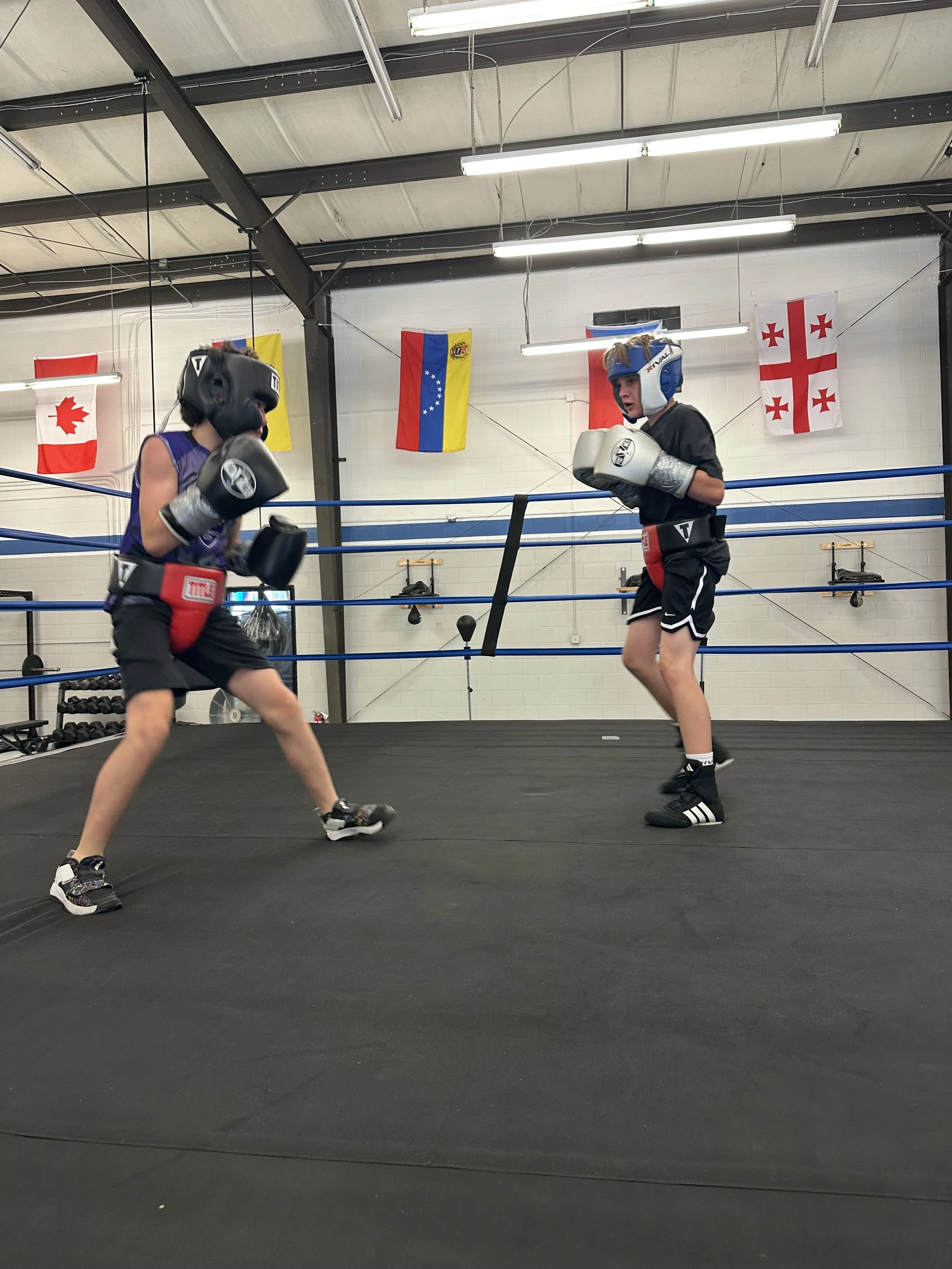 Two children sparring in a boxing ring with flags of Canada, Venezuela, Georgia, and another flag hanging in the background.
