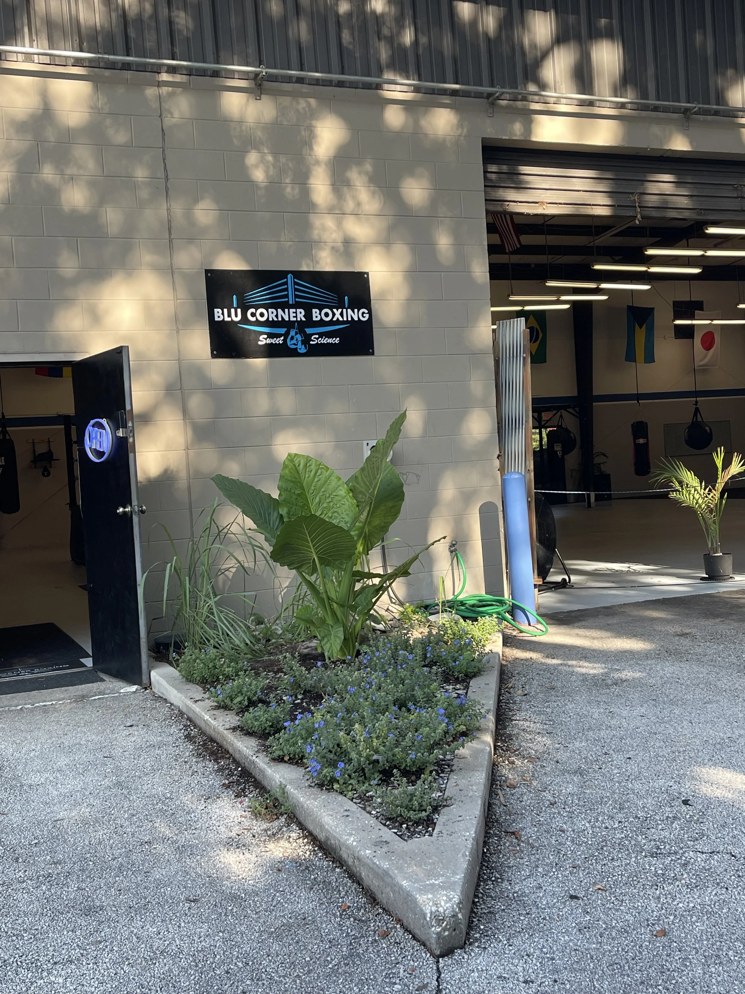 The exterior of a boxing gym named Blu Corner Boxing, with a sign featuring a boxing ring outline and the words "Sweet Science." The entrance is open, showing gym equipment and flags inside, and there are plants and flowers outside near the sidewalk.