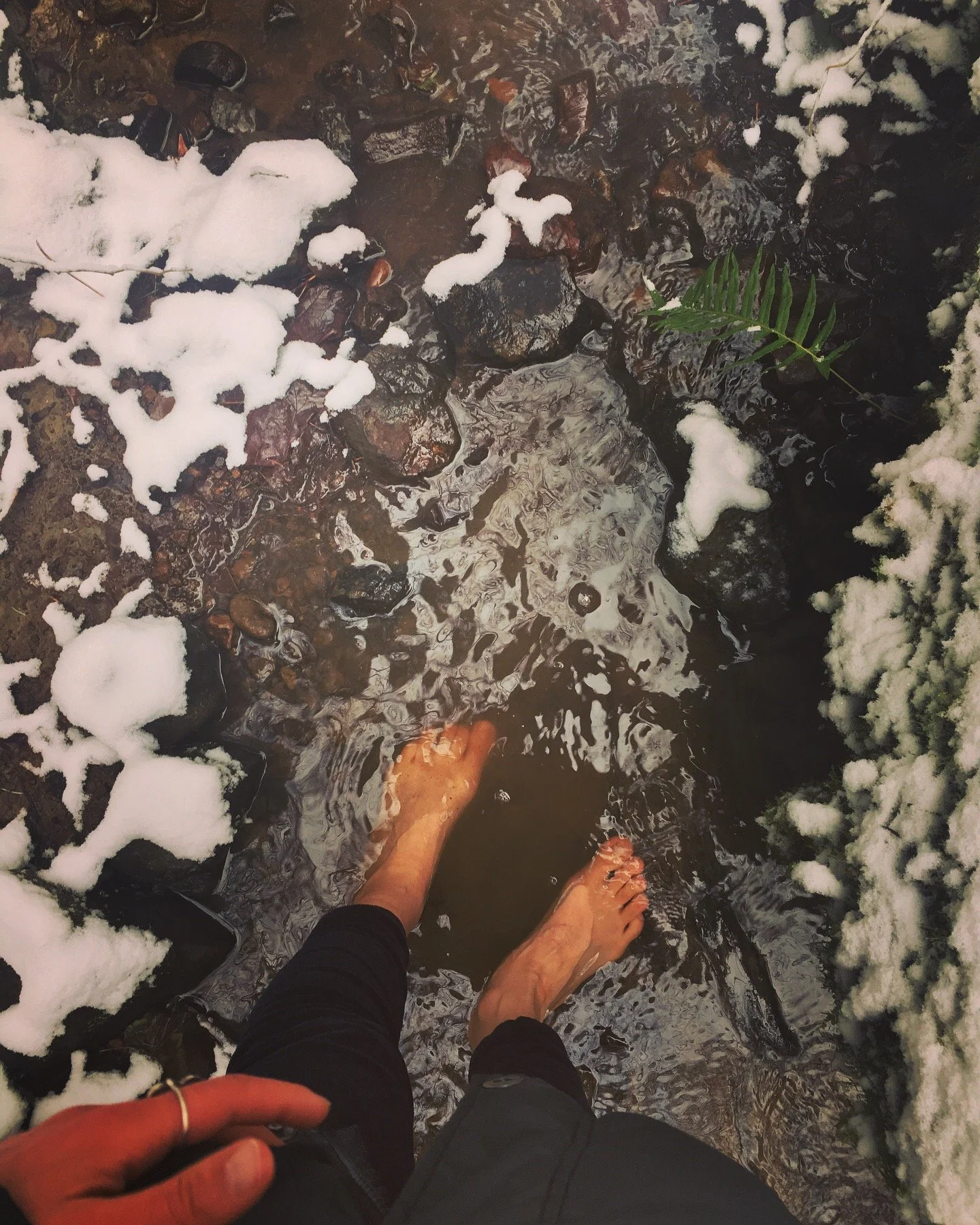 Nature as One of the Most Powerful Well-Being Transformers