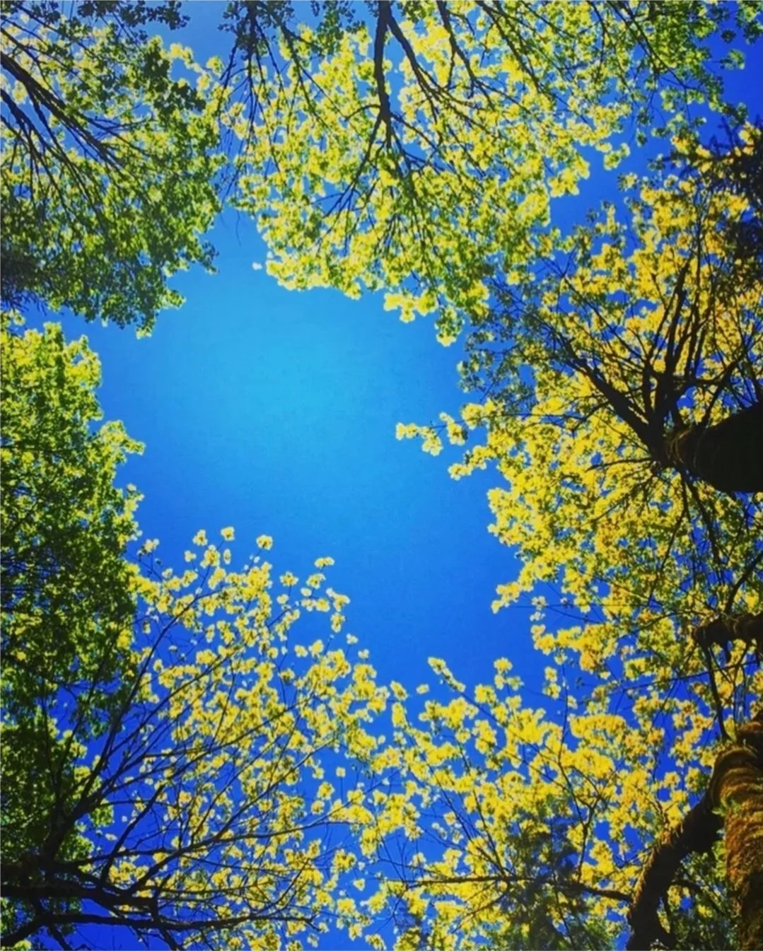 Beyond Careers: Well-Being Mentorship and Personal Growth