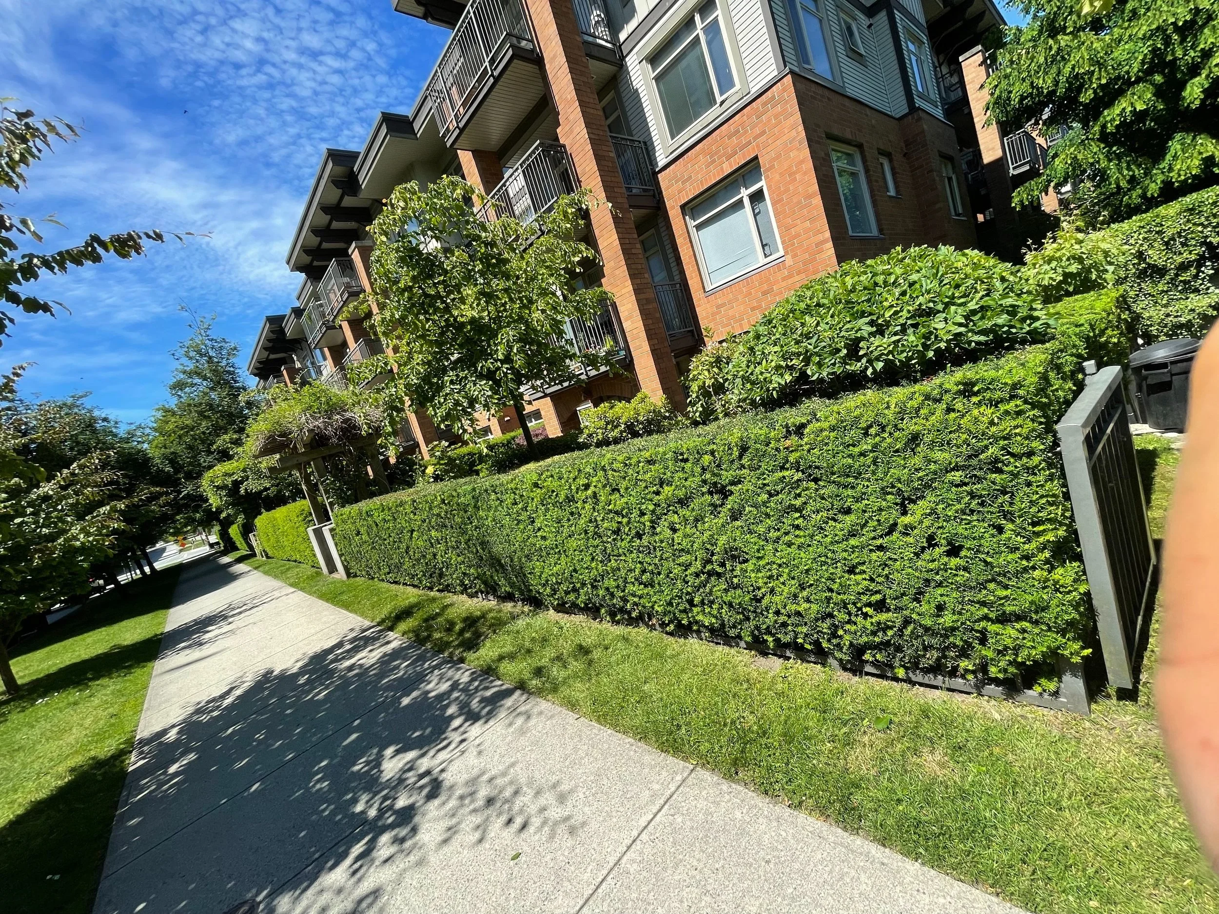 Strata landscaping maintenance with trimmed hedges and garden beds in Vancouver
