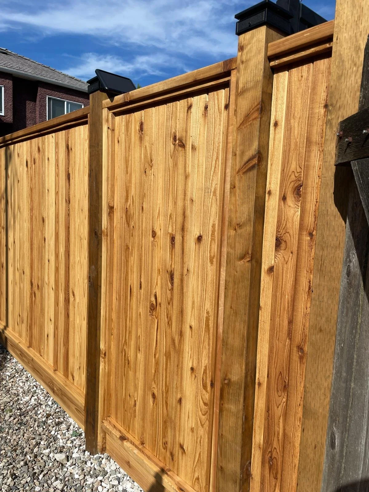 cedar fence.jpeg