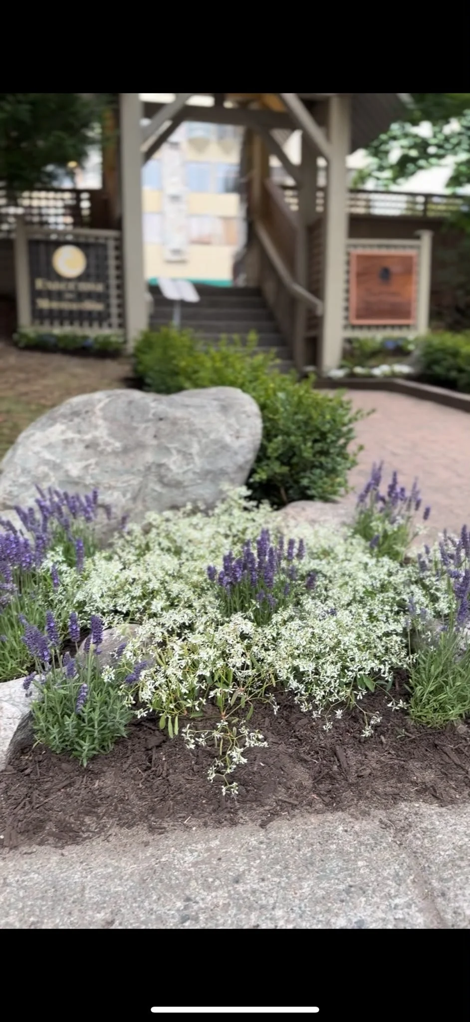 Landscape-desing-installation-garden-vancouver.jpeg