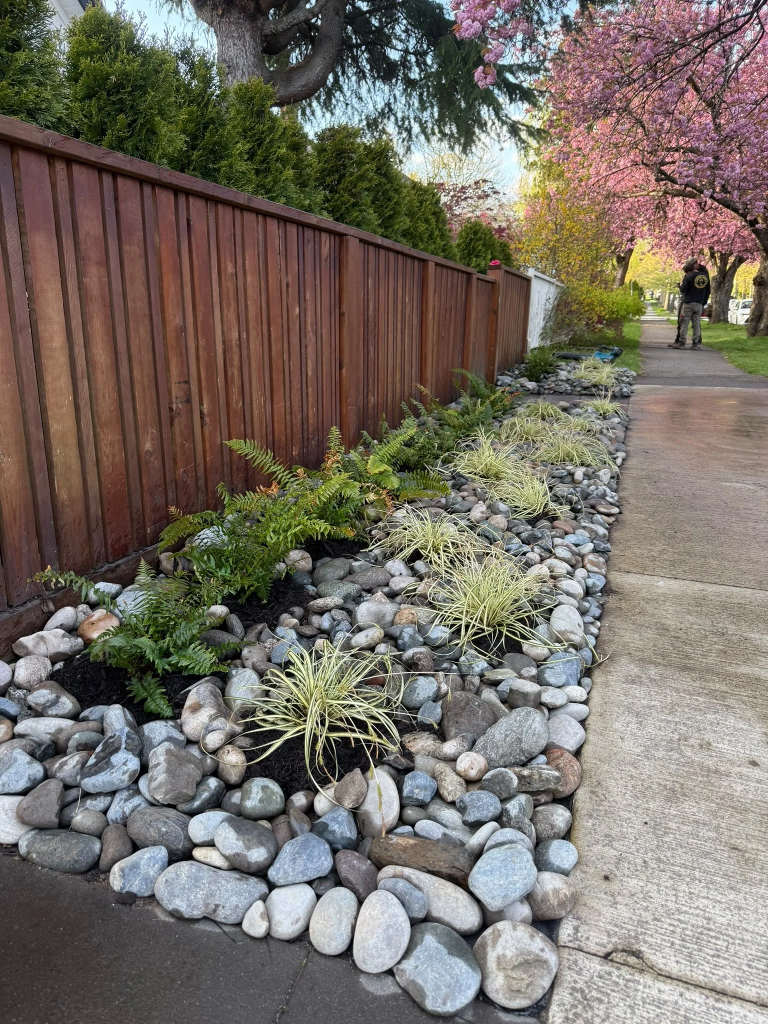 garden-rock-installation-vancouver-goldenrake.jpeg