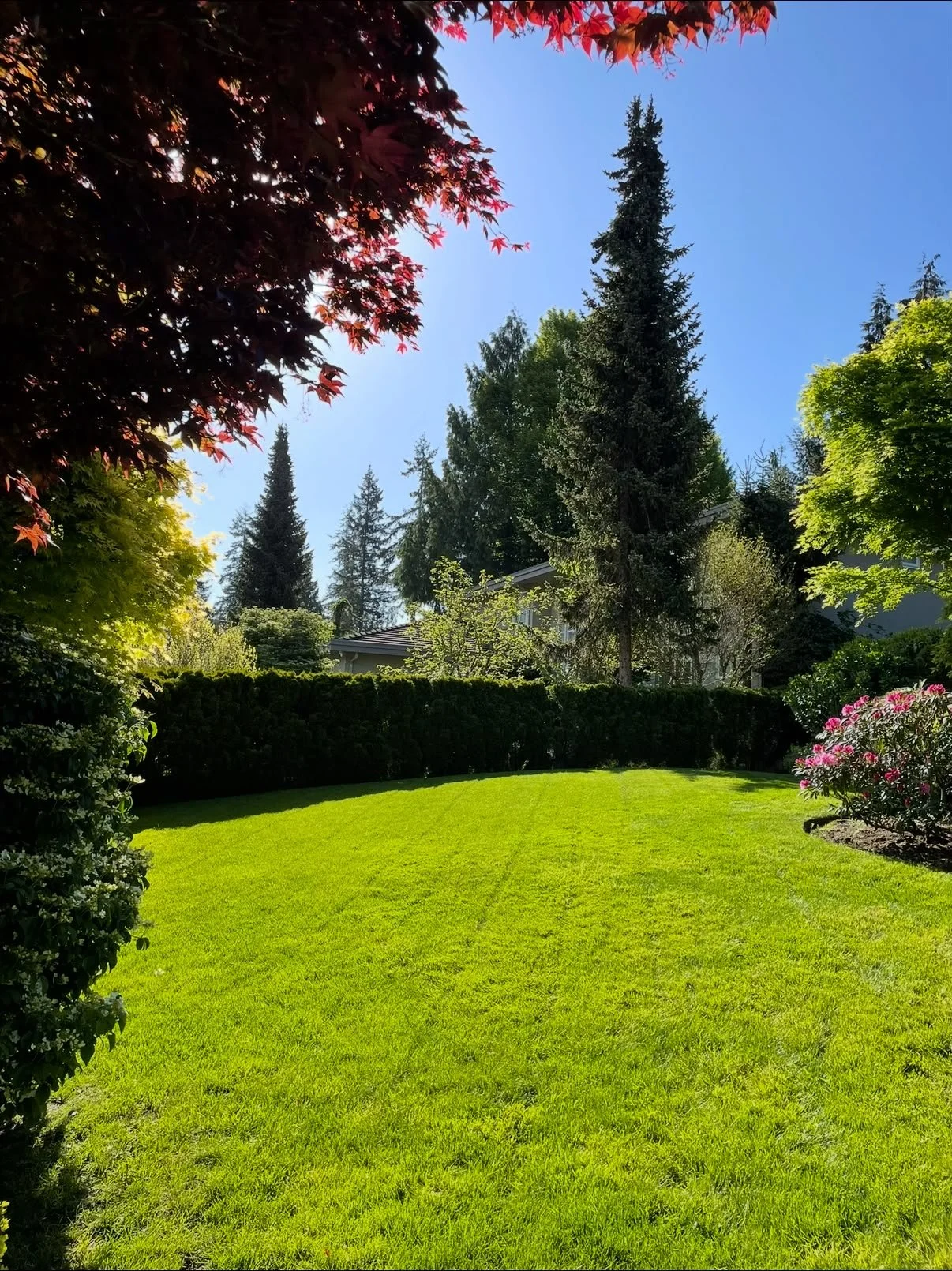 Landscape-maintenace-lawn-vancouver.jpeg