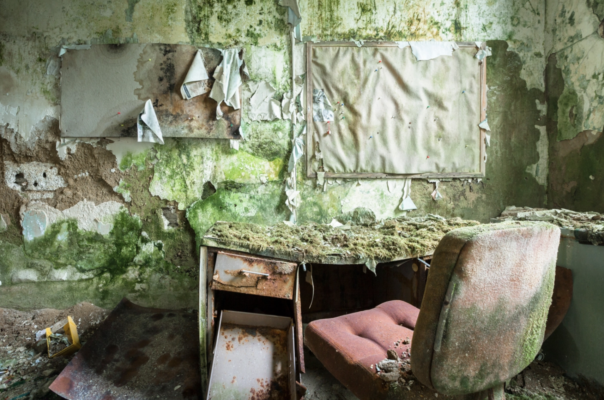 Peeling Walls & Moss (Copy)