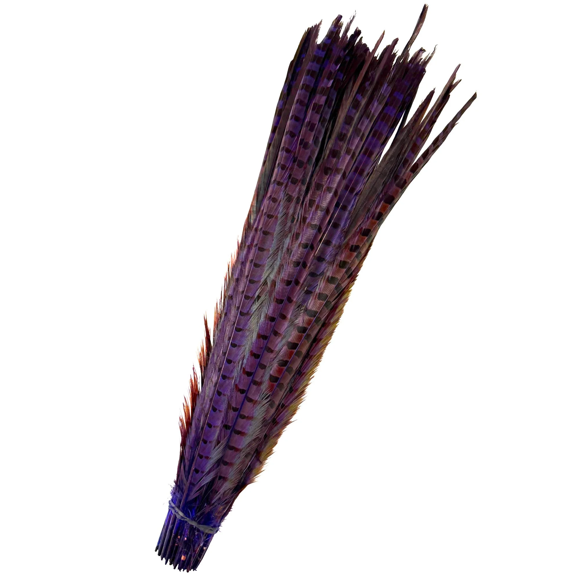 Ringpurp.jpg