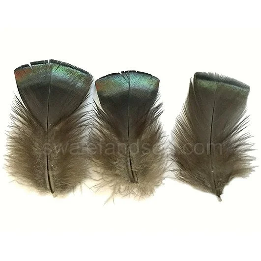 Iridescent Bronze Turkey Body Plumage (T-Base) 3-4"