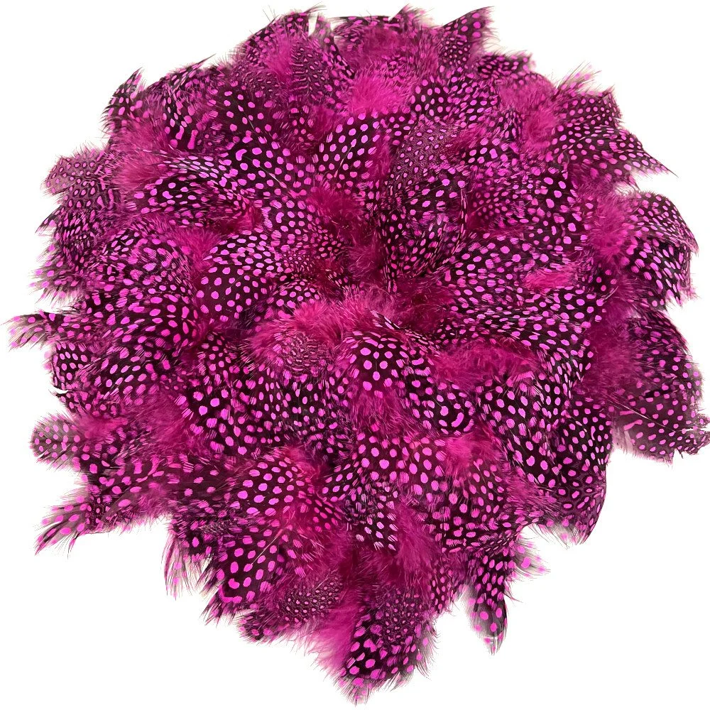 Dyed and Natural Strung Guinea Fowl Plumage 3-6" with Large Eyes