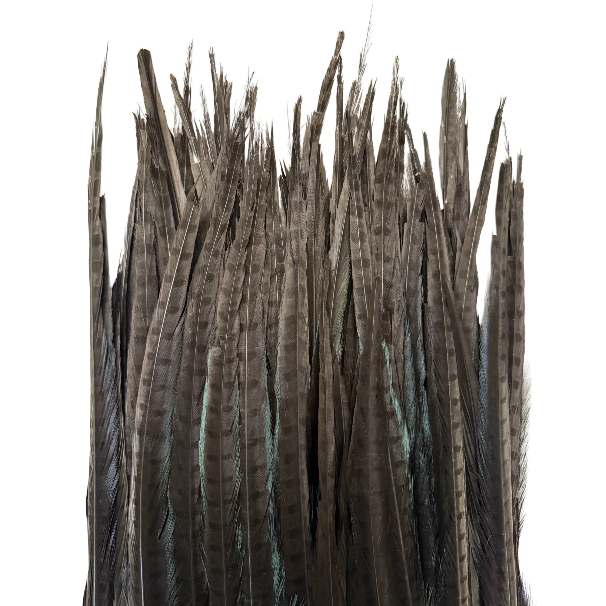 Ring2blackc.jpg