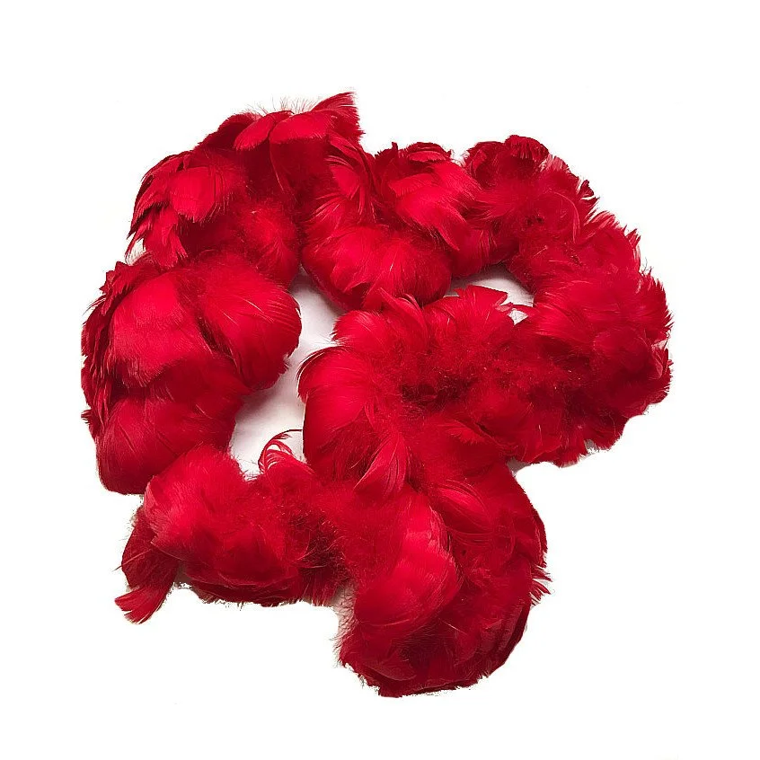Goose Coquille Feathers 2.5-4" Dyed Red