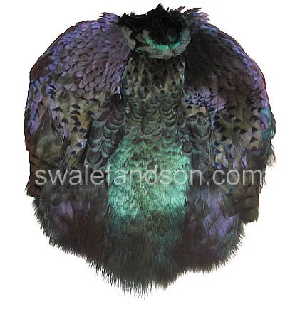 Ringneck Pheasant Pelts, Dyed Black