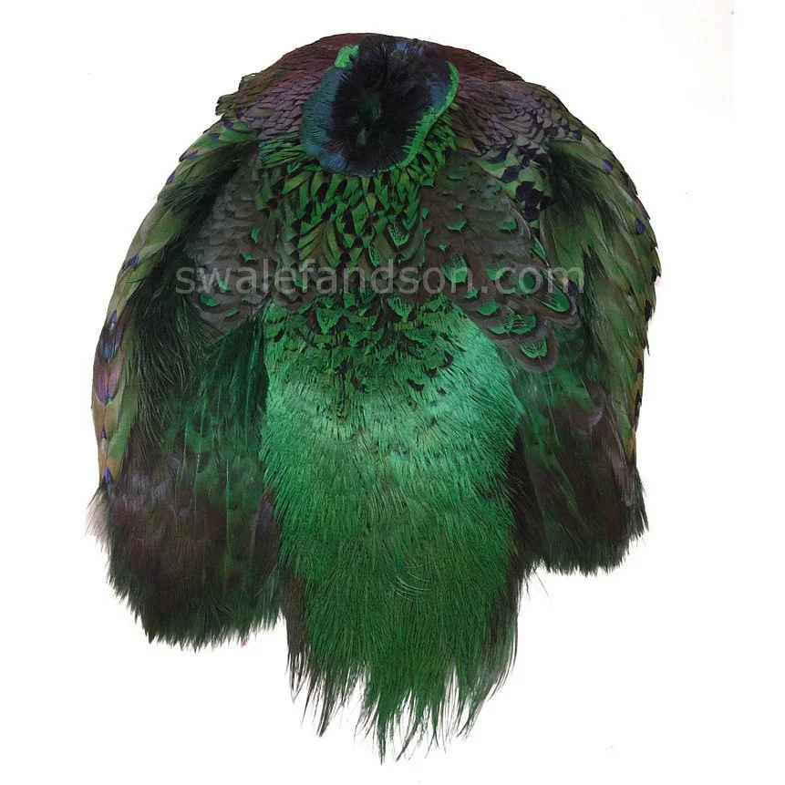 Ringneck Pheasant Pelts, Dyed Green