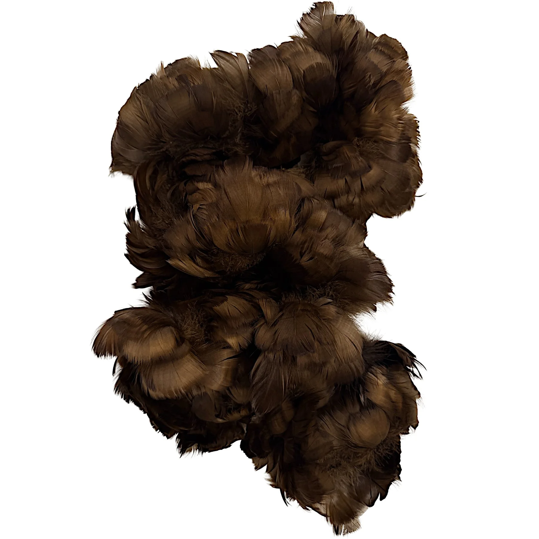 Goose Coquille Feathers 2.5-4" Dyed Brown
